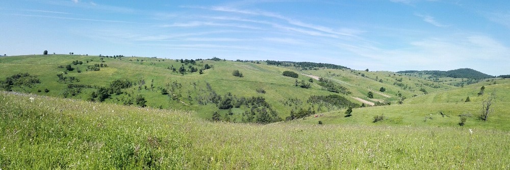 Zprávy z Banátu - č.4