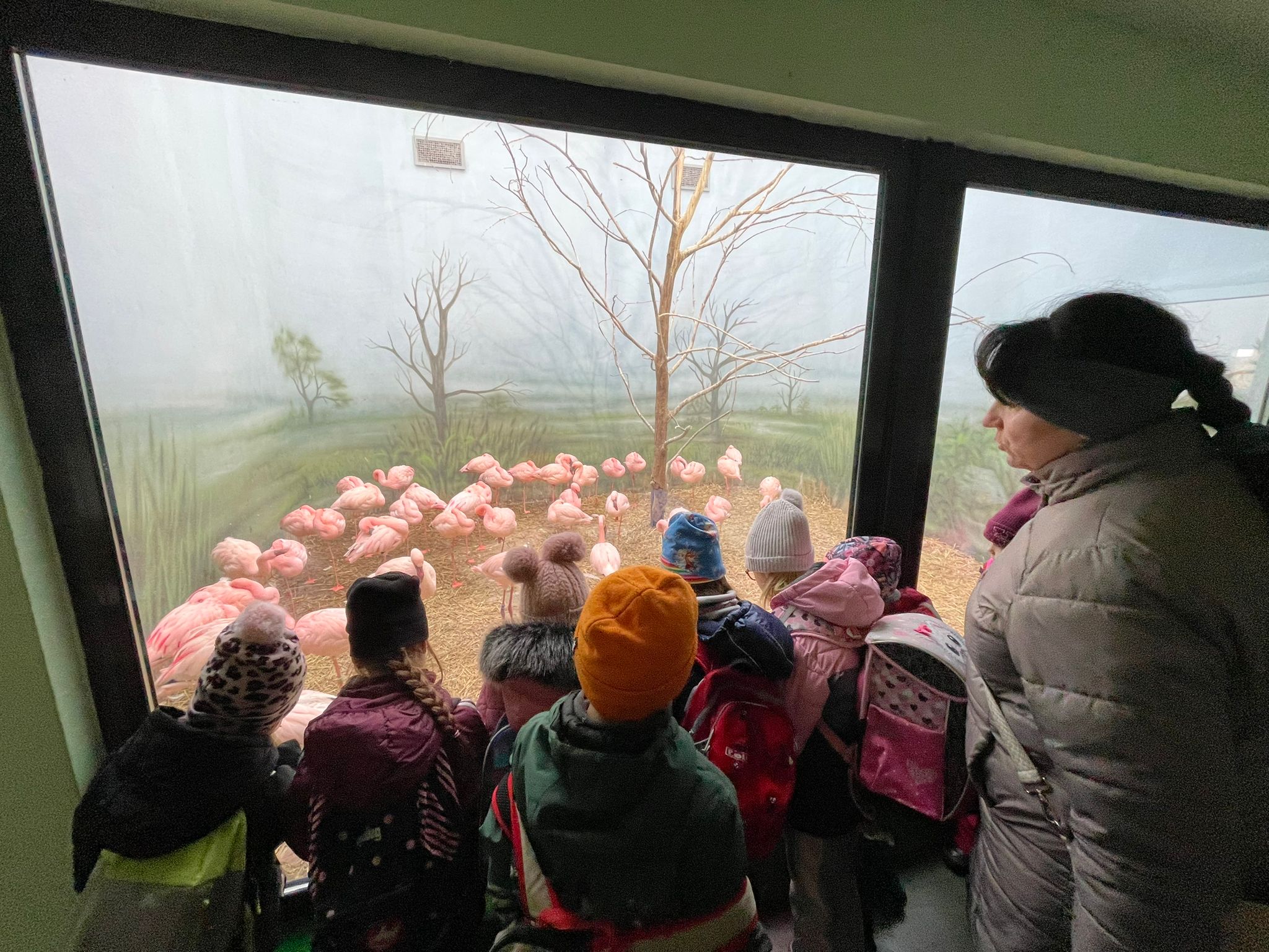 Zdobení vánočních stromečků v ZOO